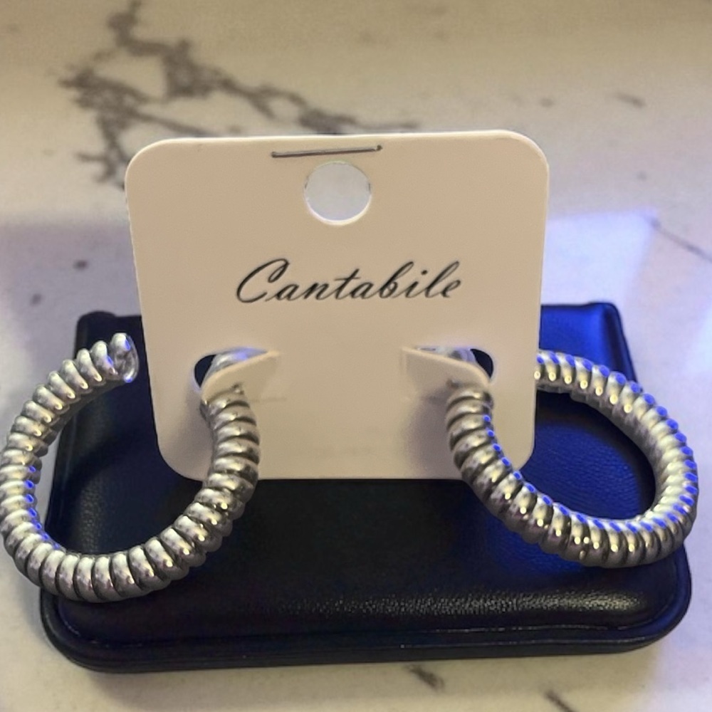 Beautiful Fashion Silver Hoop Earrings